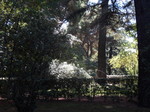 Jardin El Capricho