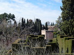 Alhambra, Granada